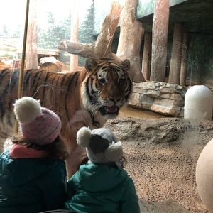 Meet your Posher, Erica